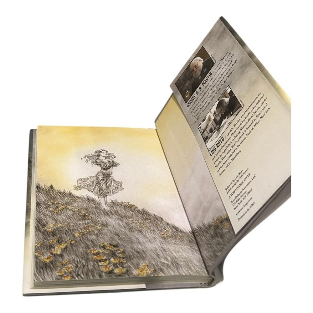 The Ice Dragon George R R Martin Luis Royo YA Fantasy Hardcover Illustrated - Picture 9 of 9